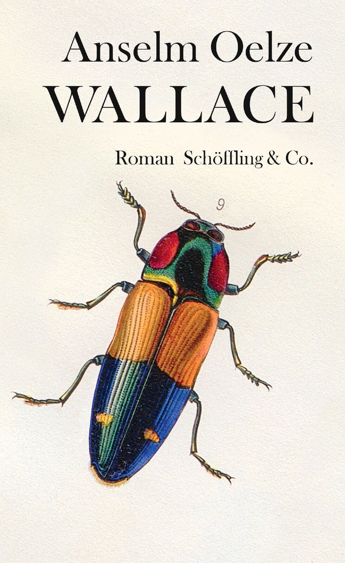 Anselm Oelze: Wallace